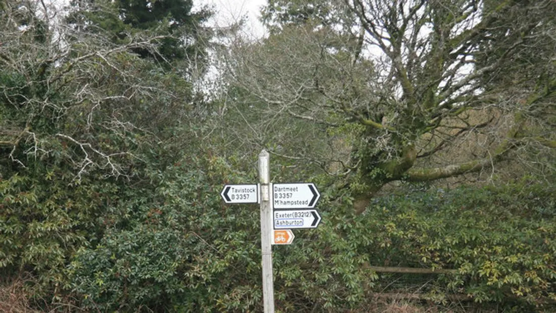 A white wooden signpost with black and blue arrow signs pointing to three towns, standing in front of green bushes and trees.